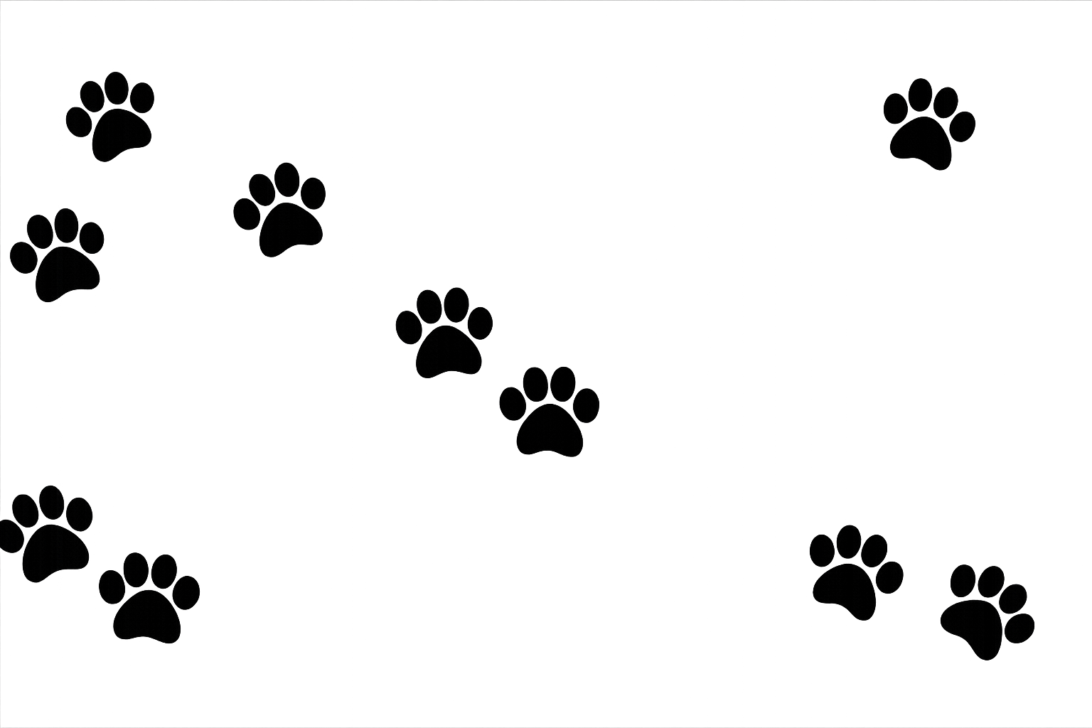 Decorative Overlay
