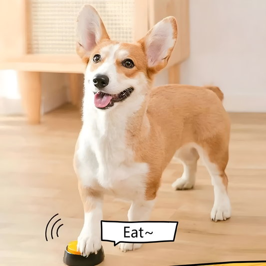 Aufnehmbare Tiertrainings-Buzzer-Tasten – Sprechende Tasten für Hunde und Katzen